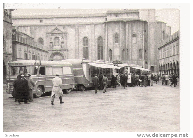 ASCOLI PICENO  (ITALIE) CARTE PHOTO MARCHE ANIME - Ascoli Piceno