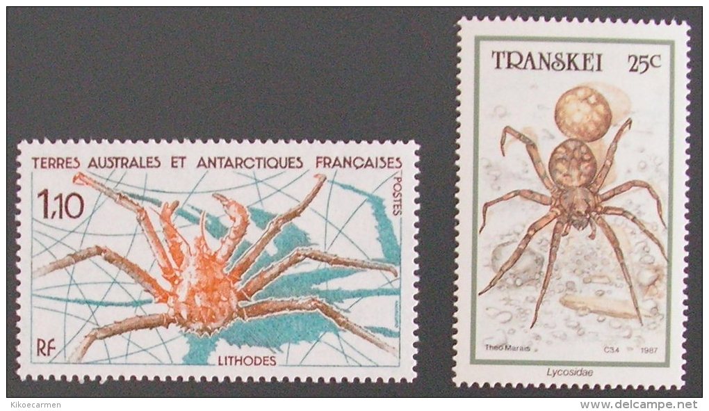 TRANSKEI 1987 TAAF Spider Ragno Animal Fauna Mnh ** - Ragni