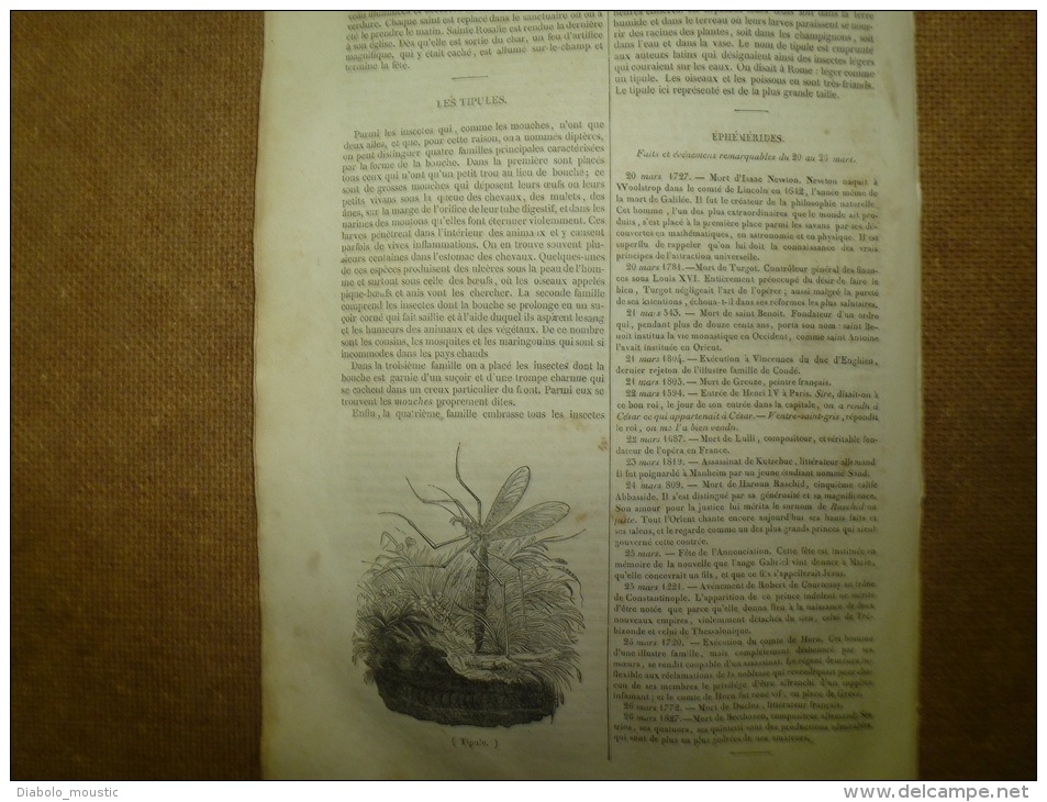 20 Mars.1834  MAGASIN UNIVERSEL: Mémoire Fantastique De L'aveugle ALICK;Tombeau Du Christ;Les Tipules - 1800 - 1849