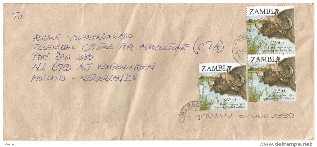 Zambia 2007 Lumumba Buffalo Cover - Zambia (1965-...)