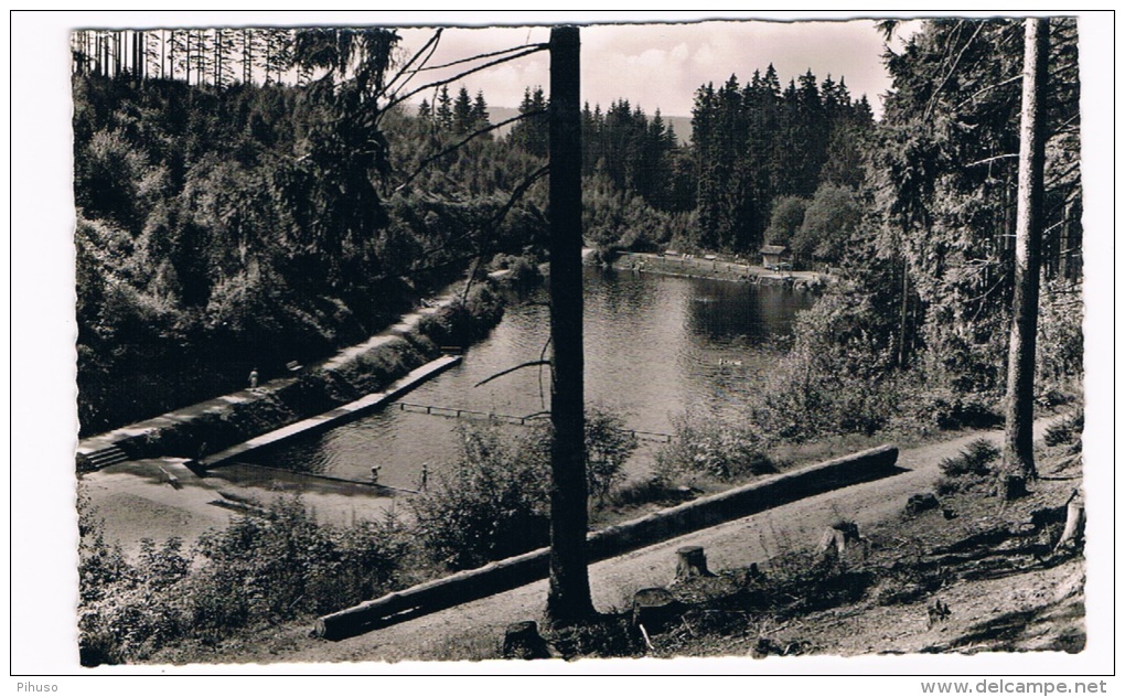 D4219  ALTENAU :  Waldschwimmbad Okerteich - Schwimmbad(  Swimmingpool, Piscine) - Altenau