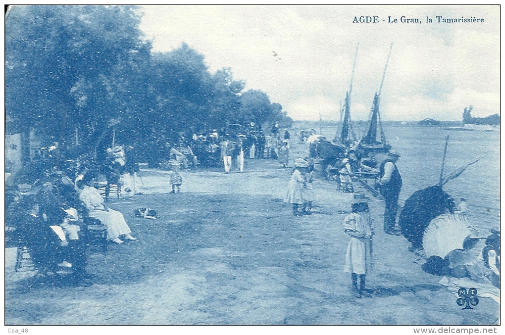 Herault : Agde, Le Grau D´Agde, La Tamarissière - Agde