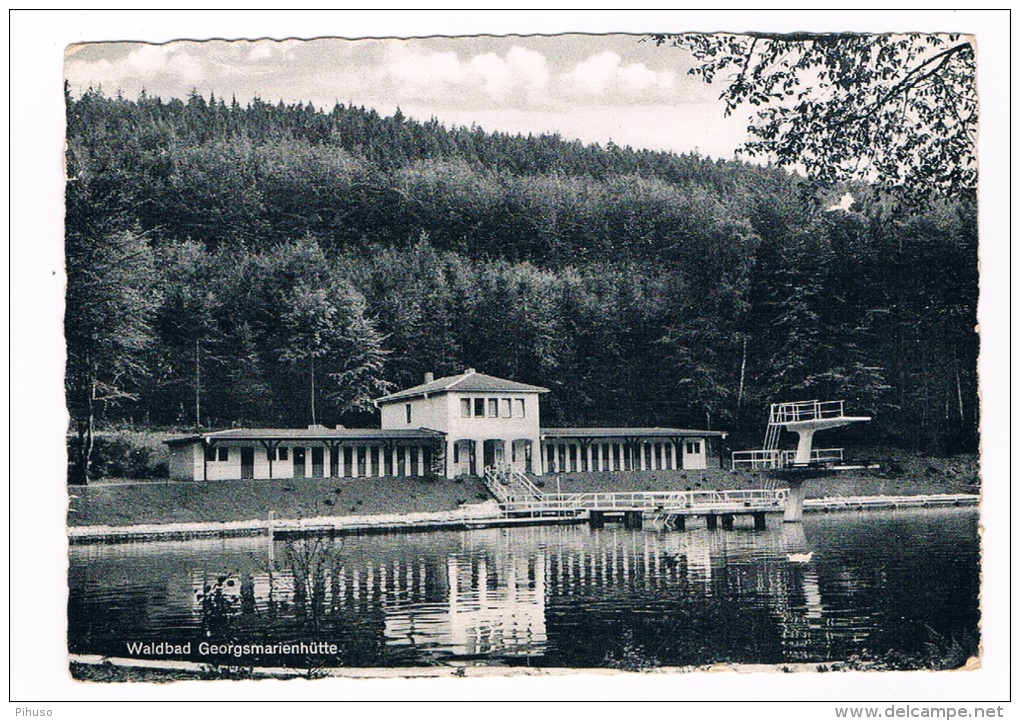 D4231    GEORGSMARIENHÜTTE : Waldbad - Schwimmbad ( Swimmingpool, Piscine) - Georgsmarienhütte