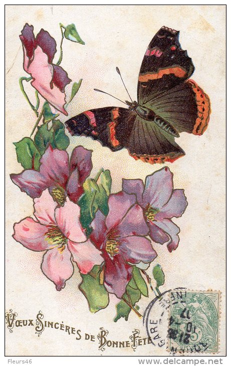 Illustrée : Papillon Et Clématites - Insetti