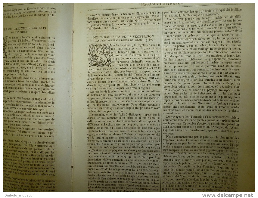 15 Mai 1834 MAGASIN UNIVERSEL : Les Hottentots D'Afrique; Végétaux Du Globe; Les Comètes; Château D'ANET - 1800 - 1849