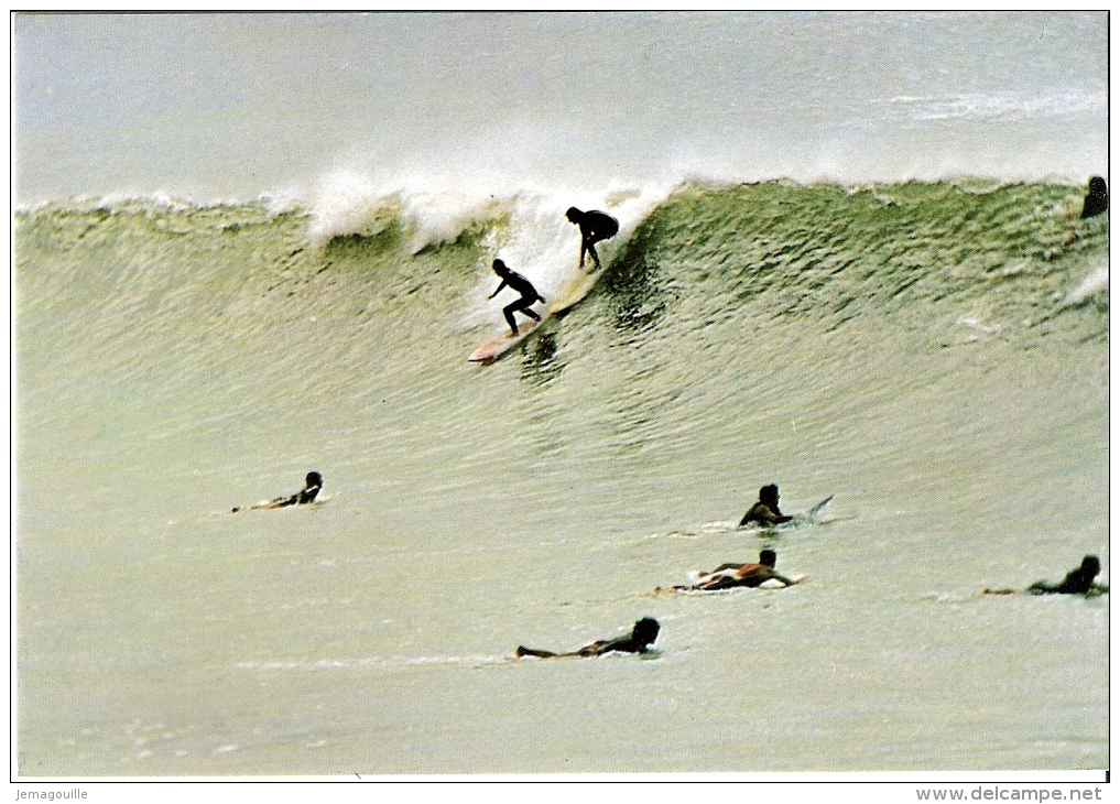 Le Surf - SO 396 - G-3 - Wasserski