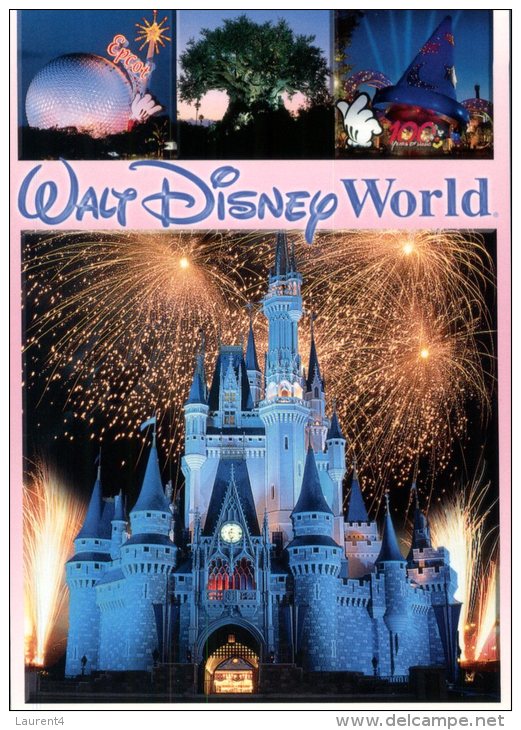 (201) Disney - Castle & Firework - Disneyworld