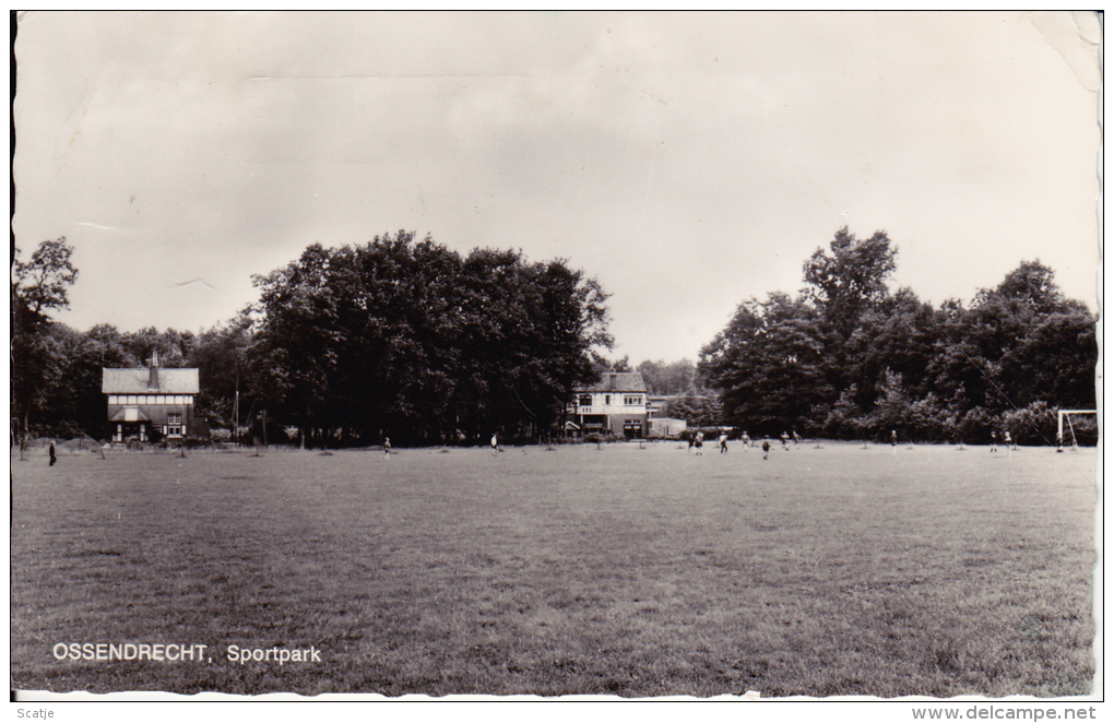 Ossendrecht  -  Sportpark;  FOTOKAART (uit Plakboek) - Sonstige & Ohne Zuordnung