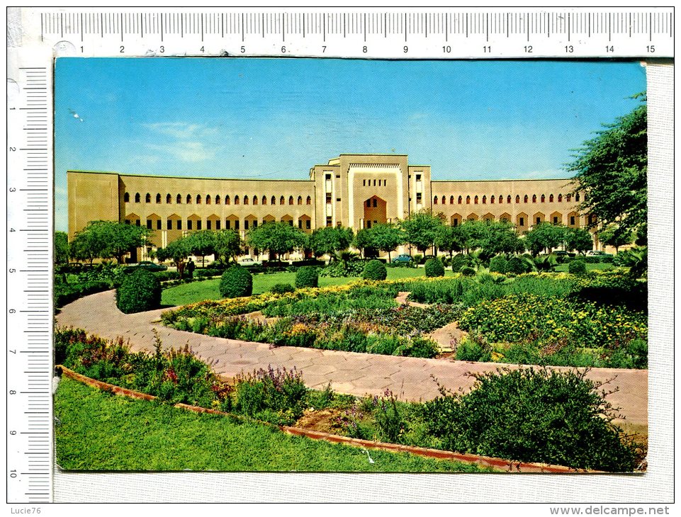 KUWAIT  -  Shuweikh University Shuweikh  -   Université De Shuweikh - Kuwait