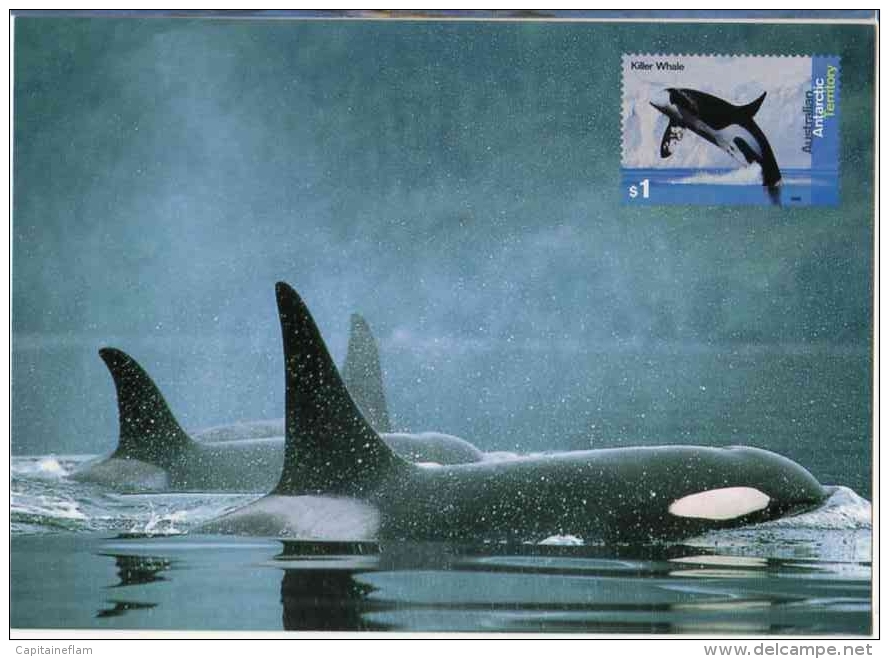 DOLPHIN Dauphin Delfin Killer Whale Orque Postal Stationery Mint Entier Postal AUSTRALIA Antarctic - Dolphins