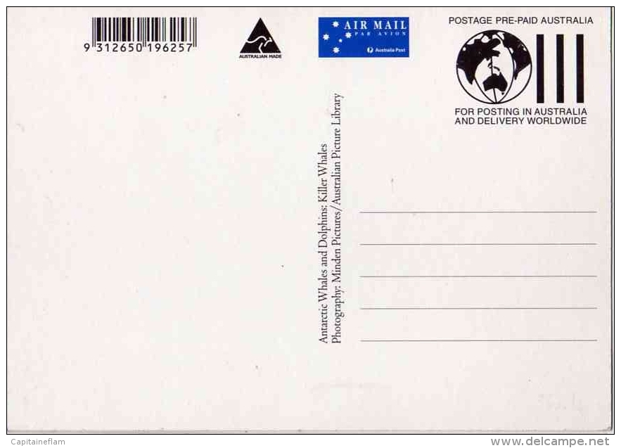 DOLPHIN Dauphin Delfin Killer Whale Orque Postal Stationery Mint Entier Postal AUSTRALIA Antarctic - Dolphins