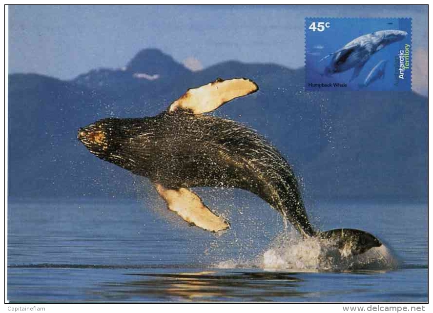 Humpback WHALE Baleine  Wal Entier Postal Stationery Mint AUSTRALIA Antarctic 1996 - Whales