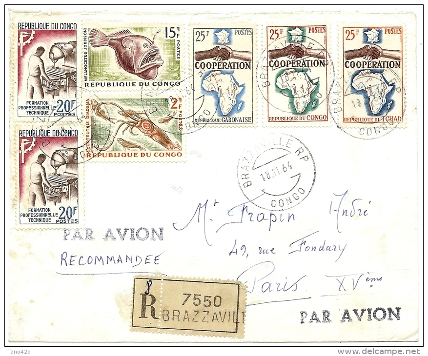 LBL21 - REP. DU CONGO - LETTRE AVION RECOMMANDEE BRAZZAVILLE / PARIS 18/11/1964 - Luchtpost