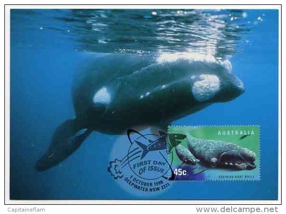 WHALE Baleine Wal Entier Postal Stationery New Zealand Postmarked Deepwater Nsw 1 October 1998 - Balene