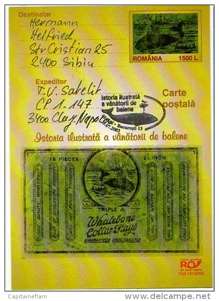 WHALING WHALE  Whalebone Chasse Baleine Wal Walfang Entier Postal Stationery Used ROUMANIE Postmarked Bucarest 23.07.200 - Baleines