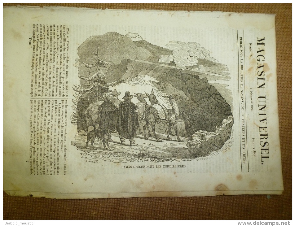 5 Déc. 1833 MAGASIN UNIVERSEL : Lamas Des Cordillières;THEBES; King-Kong En CHINE ;POTOSI;Espèces Animales éteintes - 1800 - 1849