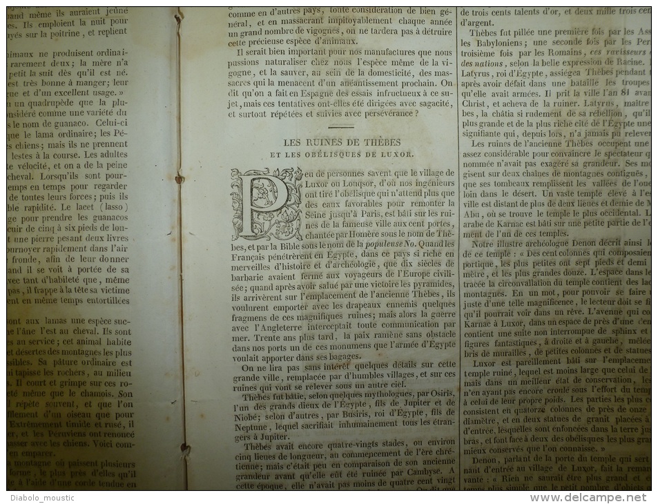 5 Déc. 1833 MAGASIN UNIVERSEL : Lamas Des Cordillières;THEBES; King-Kong En CHINE ;POTOSI;Espèces Animales éteintes - 1800 - 1849