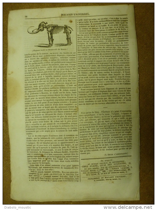 5 Déc. 1833 MAGASIN UNIVERSEL : Lamas Des Cordillières;THEBES; King-Kong En CHINE ;POTOSI;Espèces Animales éteintes - 1800 - 1849