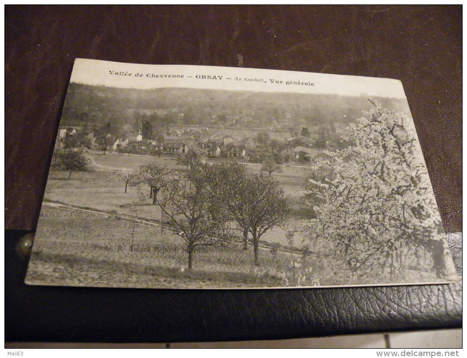 A35.CPA..91 (ESSONNE).Vallée De Chevreuse.ORSAY.(Le Guichet).Vue Générale.....rare Beau Plan.écrite & Voyagée 1930 - Orsay