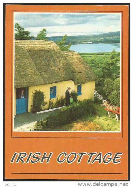 IRELAND Dungarvan Waterford Irish Cottage 1986 - Waterford