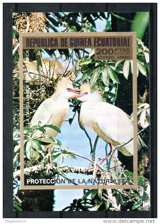 GUINEE EQUATORIALE. BF 247 (catalogue Michel) Oblitéré De 1976. Ibis. - Cigognes & échassiers