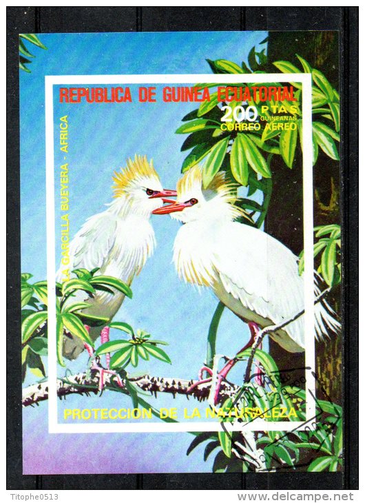 GUINEE EQUATORIALE. BF Oblitéré De 1976. Ibis. - Ooievaars