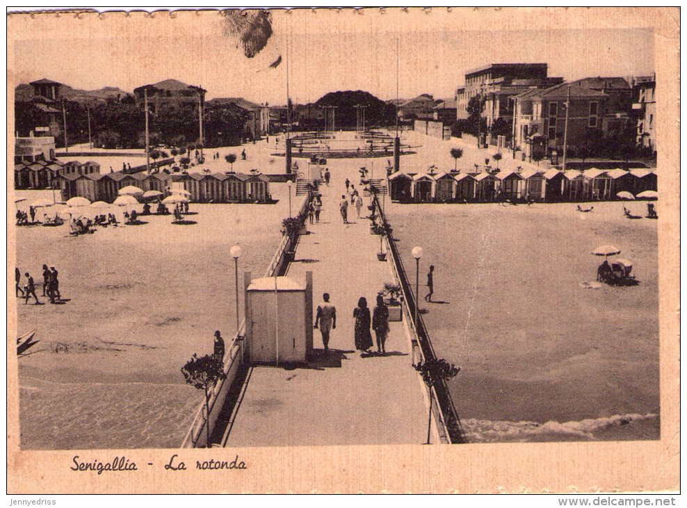 SENIGALLIA - Senigallia