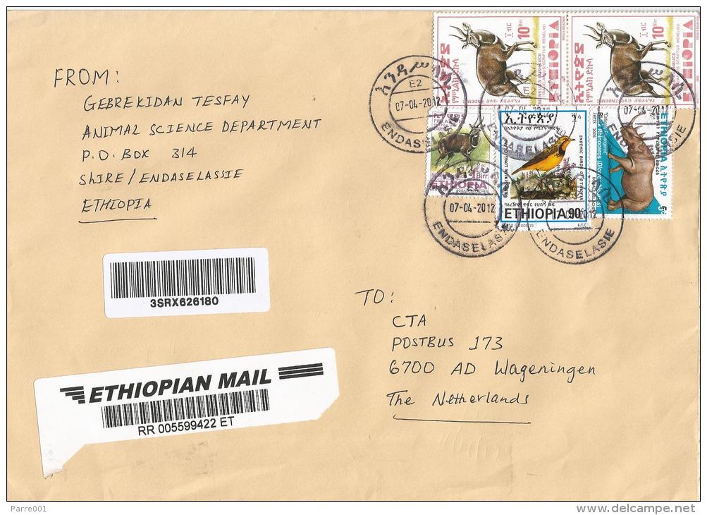 Ethiopia 2012 Endaselasie Endemic Bird Barcoded Registered Cover - Ethiopië