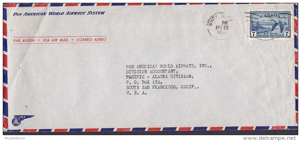 Canada PAN AMERICAN WORLD AIRWAYS SYSTEM Airmail WHITE HORSE 1950 Cover Lettre To SAN FRANCISCO, USA Bird Vogel Oiseau - Poste Aérienne