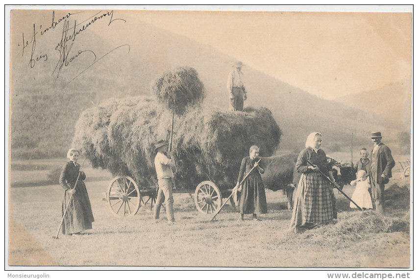 AGRICULTURE )) CARTE PHOTO   SCENE DE FENAISON   MOISSON - Cultures