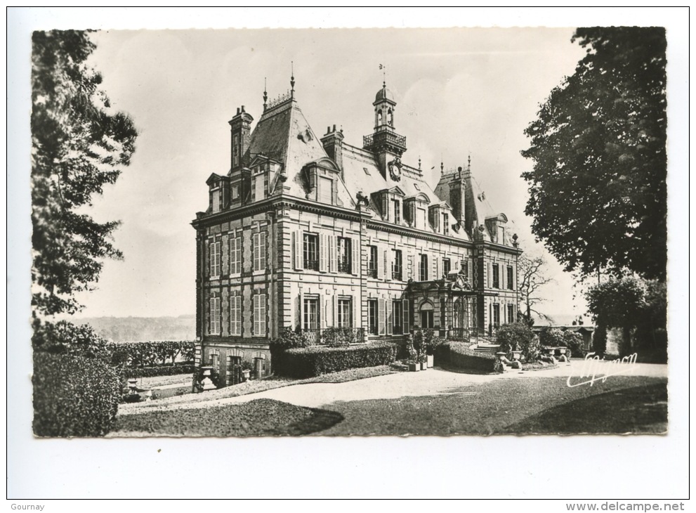 Nogent Le Roi : Le Château Côté Sud Ouest N°6068 Mignon Noir Blanc Dentelée - Nogent Le Roi