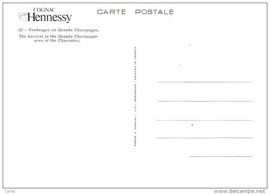 CPM - 16 - COGNAC Hennessy - Vendanges En Grande Champagne - Cognac