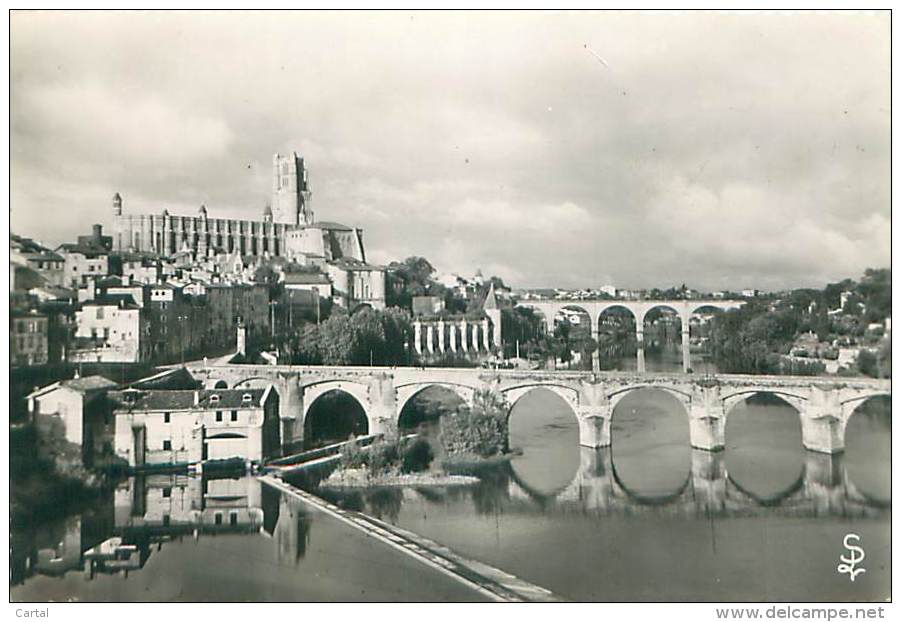 CPM - 81 - ALBI - Vue D'ensemble Sur La Cathédrale - Albi