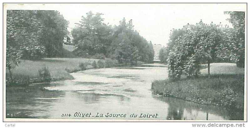 MINI CPA  - 45 - OLIVET - La Source Du Loiret - Autres & Non Classés