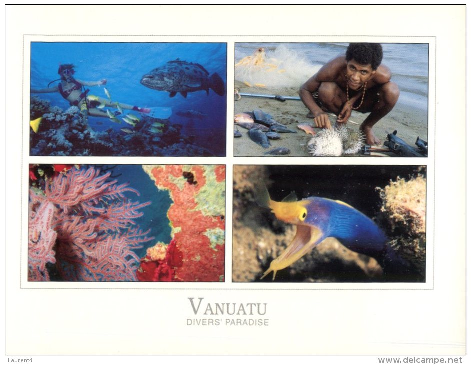 (575) Vanuatu - 4 Views Fish - Vanuatu