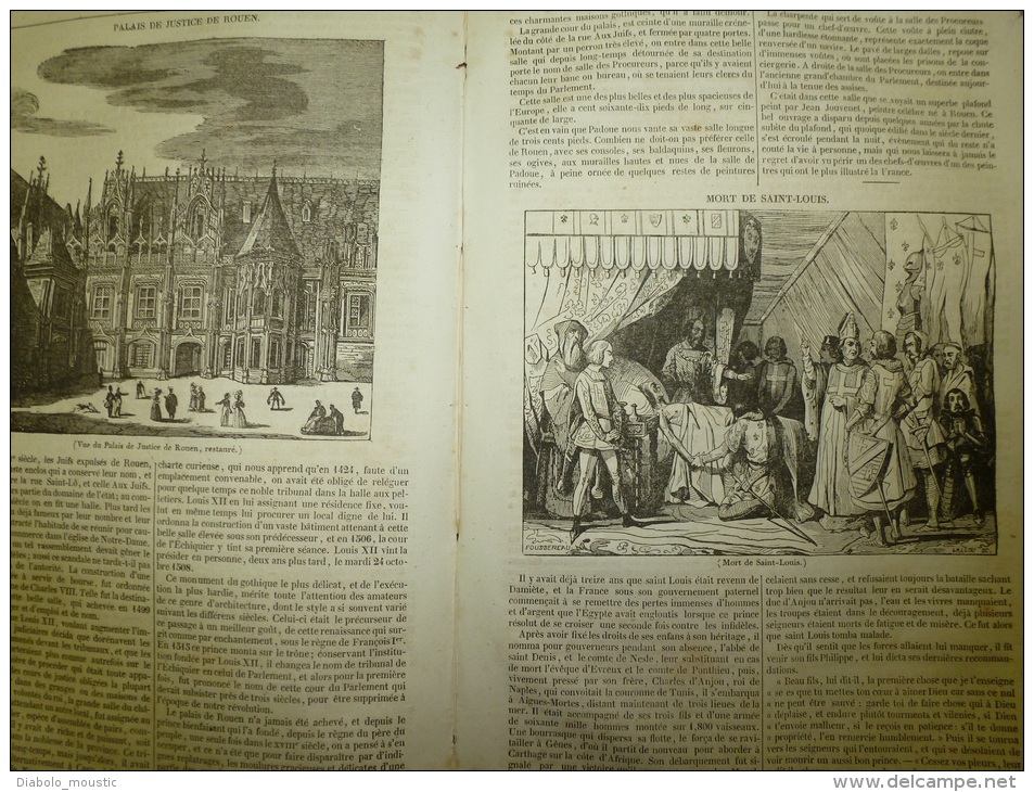 14 Août 1834 MAGASIN UNIVERSEL: Cath. WORCESTER; Histoire De La Vigne; St LOUIS; La Mer, Sel Et Plantes;Edmond SPENCER - 1800 - 1849