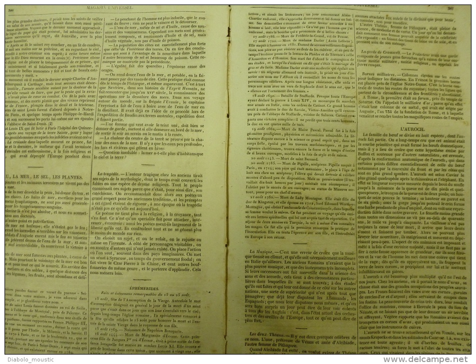 14 Août 1834 MAGASIN UNIVERSEL: Cath. WORCESTER; Histoire De La Vigne; St LOUIS; La Mer, Sel Et Plantes;Edmond SPENCER - 1800 - 1849