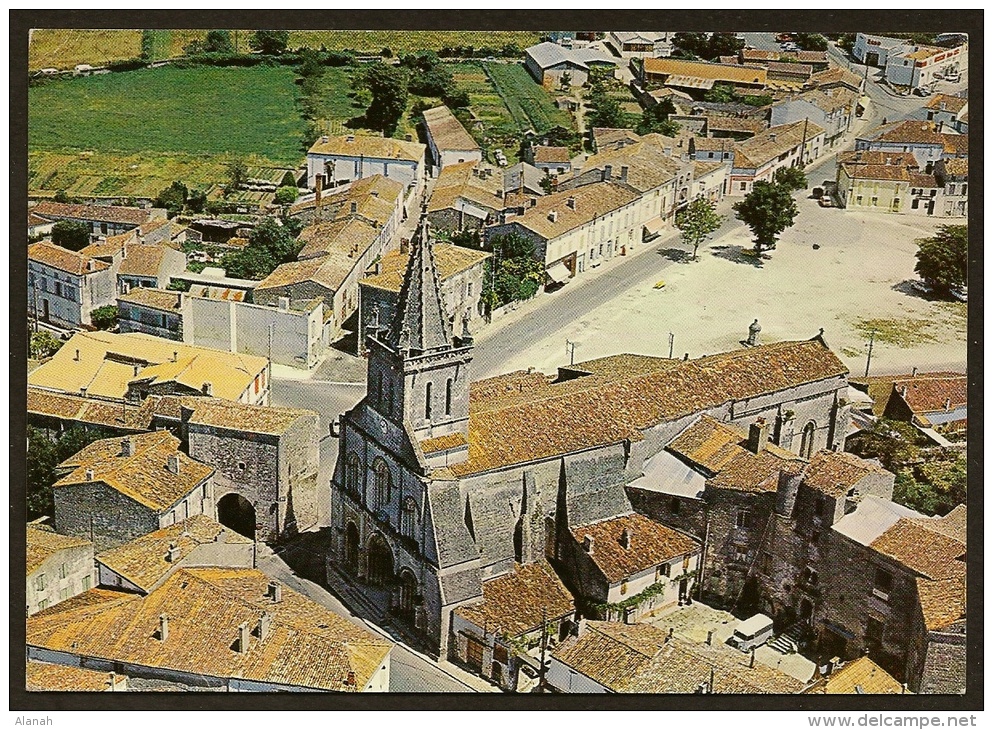 PONT L'ABBE D'ARNOULT Vue Aérienne (Artaud) Chte Mme (17) - Pont-l'Abbé-d'Arnoult