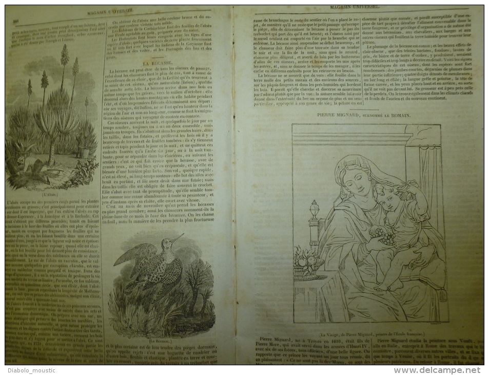 4 Sept. 1834 MAGASIN UNIVERSEL: Cathédrale De MILAN; Les Astrologues; La Bécasse; Pierre Mignard; Les Kurdes - 1800 - 1849