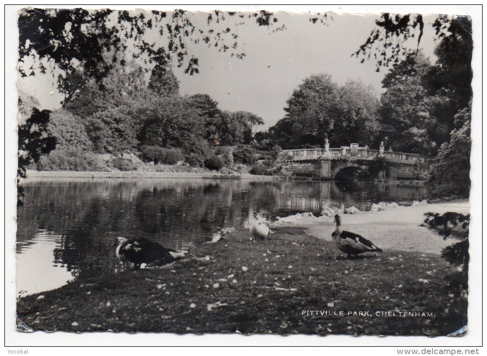 CP, ANGLETERRE, GHELTENHAM, PITTVILLE PARK, Voyagé En 1961 - Cheltenham