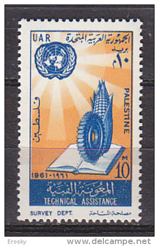 K0921 - PALESTINE OCC. EGYPTIENNE Yv N°80 ** ONU UNO - Palestina