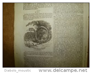 11 sept. 1834 MAGASIN UNIVERSEL: Metz; Origine voiture;Peintre Salvator Rosa d'Arenella; Lanciers;Docteur Francia; BOA