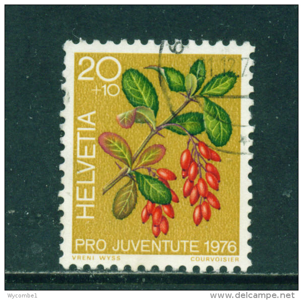 SWITZERLAND - 1976  Pro Juventute  20+10c  Used As Scan - Used Stamps