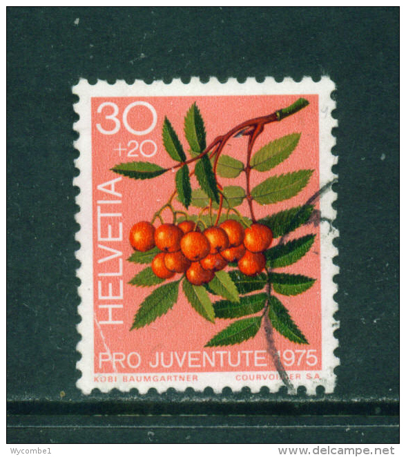 SWITZERLAND - 1975  Pro Juventute  30+20c  Used As Scan - Used Stamps