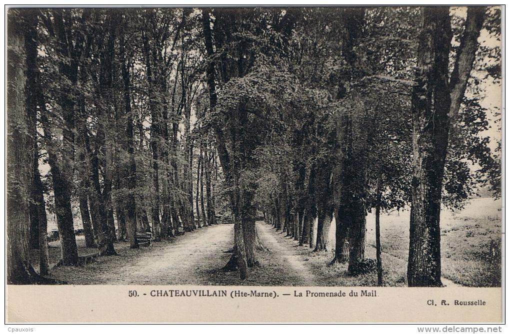 CHATEAUVILLAIN La Promenade Du Mail - Chateauvillain