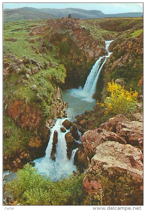 CPM - GOLAN HEIGHTS - The Doves Waterfall At Wadi Saar Near The Banias Springs - Israel