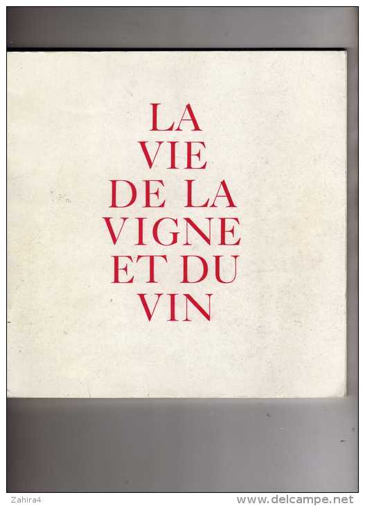 Viticulture - Vigne - Vins - La Vie De La Vigne Et Du Vin - Barton & Guestier  Bordeaux - Photos Noir Et Blanc Superbes - Autres & Non Classés