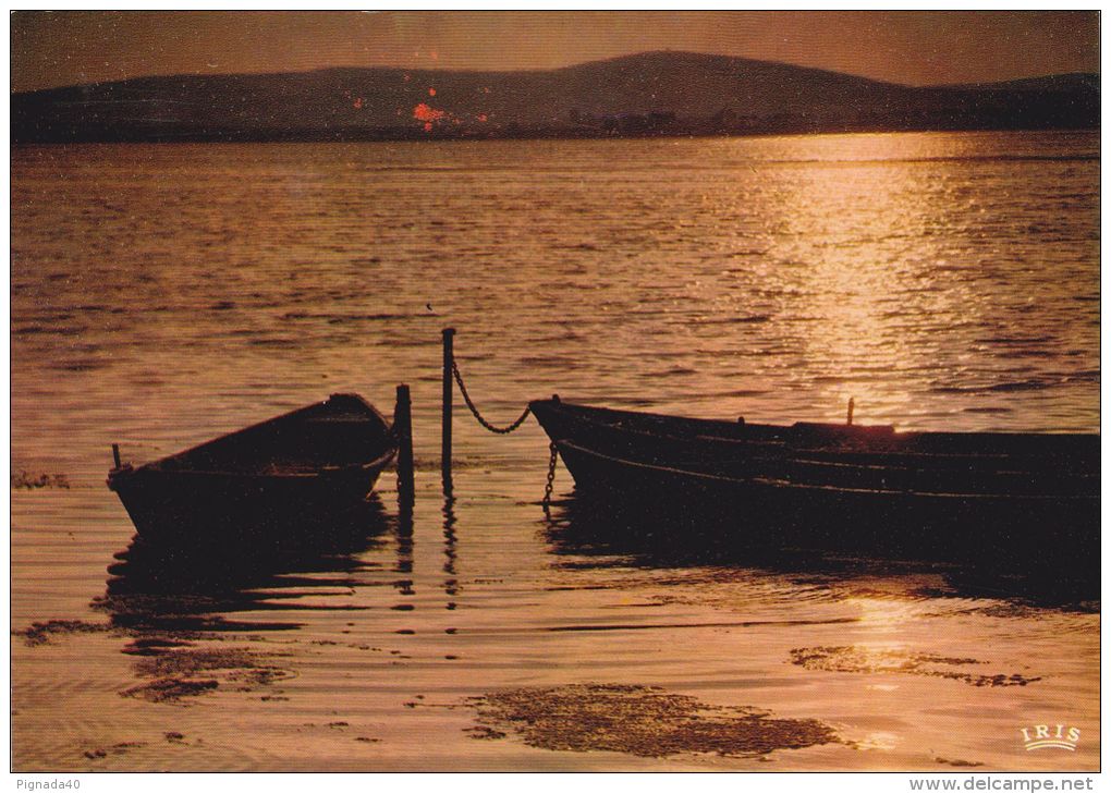 Cp , RÉGIONS , LANGUEDOC-ROUSSILLON , Coucher De Soleil Sur L'étang De Thau , Barques - Languedoc-Roussillon