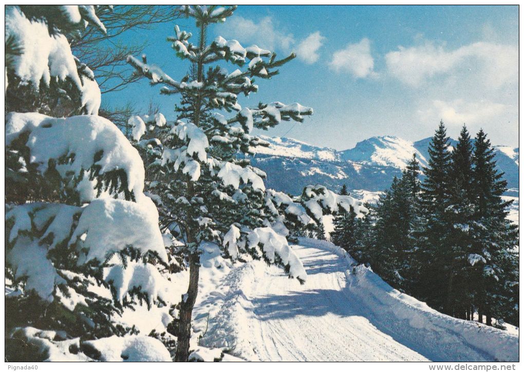 Cp , RÉGIONS , LANGUEDOC-ROUSSILLON , Route Dans Les Alpes En Hiver - Rhône-Alpes