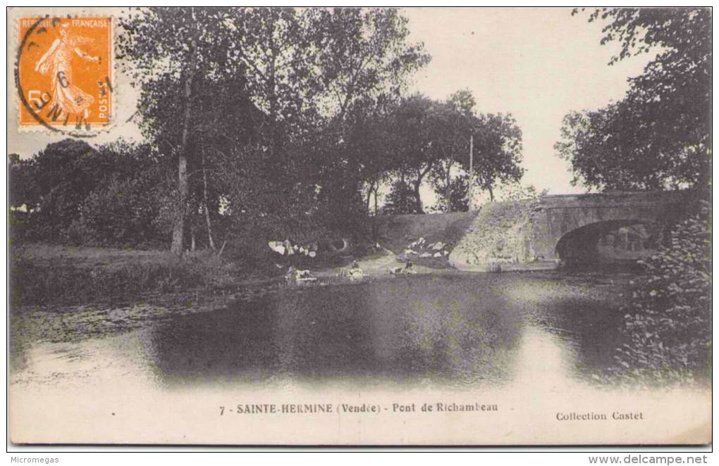 SAINTE-HERMINE - Pont De Richambeau - Sainte Hermine